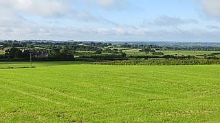 Grassland, Glenleslie - geograph.org.uk - 3891868.jpg