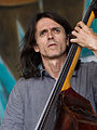 Der Bassist Kostas Theodorou beim TFF Rudolstadt 2014