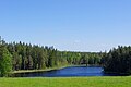 Laanemetsa Savijärv