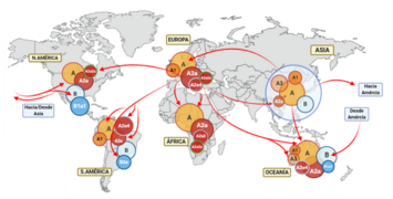 Propagación y filogenia de SARS-CoV-2.png