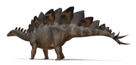 Реконструкция Stegosaurus stenops