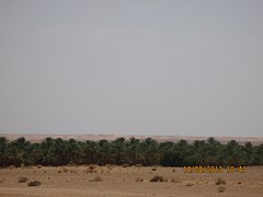 طريق زلفانة القرارة - panoramio (4).jpg