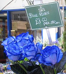 Blue Roses Oxford Market.JPG