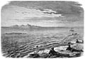 Die Gartenlaube (1869) b 460.jpg Auf der Seehundjagd