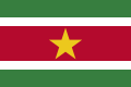 Suriname op de Olympische Zomerspelen 2016
