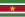 Surinam bayrak