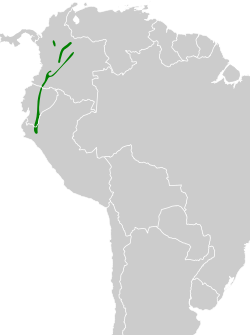 Distribución geográfica del tororoí ventriblanco.