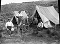 Men displaying a catch of rabbits and fish. A marginal note reads "New Zealand Life".