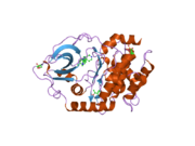 2uw0: STRUCTURE OF PKA-PKB CHIMERA COMPLEXED WITH 6-(4-(4-(4-CHLORO-PHENYL)-PIPERIDIN-4-YL)-PHENYL)-9H-PURINE