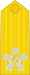 泰國海軍元帥肩章