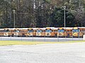 School buses in Vidalia Bus Barn