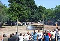 Un Sd.Kfz 251 funcional en el Heeresgeschichtlichen Museum de Viena.