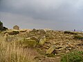 La nécropole mégalithique de la Pointe du Souc'h, vue d'ensemble des dolmens 3