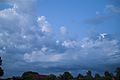 Stratocumulus castelannus