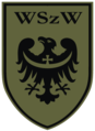 Oznaka rozpoznawcza WSzW Wrocław na mundur polowy.