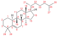 Deutsch: Grundstruktur der Cucurbitane English: generic structure of the cucurbitanes