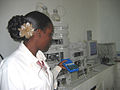 Image 7A technician at the Guyana Food and Drug Department Laboratory in Georgetown, Guyana selecting peanut samples to be tested with new equipment. (from Agriculture in Guyana)