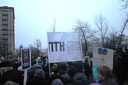 基辅游行者打出的“ПТН ПНХ”（普京快滚开）标语