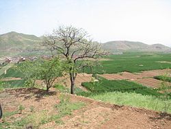 Farms in Linzhou, Henan, irrigated by the Red Flag Canal