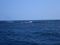 North Pacific Right Whale Entanglement, Hokkawa, Shizuoka, April 4, 2020 by Yoshiyuki Nakawaza, Dive Green B.jpg