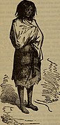 Plain home talk about the human system-the habits of men and women-the cause and prevention of disease-our sexual relations and social natures (1896) (14764414435).jpg