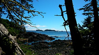 View from Wild Pacific Trail Ucluelet 1.jpg