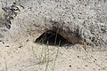 Turtle hole