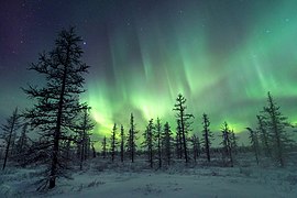 Aurore boréale près de Novy Ourengoï.