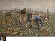 The Beet Harvest in Museum van Deinze en de Leiestreek