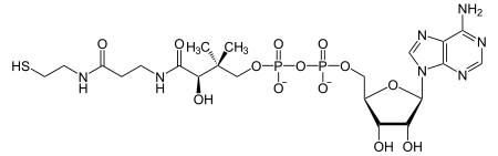 DePhospho-CoA