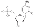 Deutsch: Struktur von Desoxycytidinmonophosphat English: Structure of Deoxycytidine monophosphate