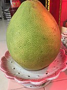 Grapefruit big green.jpg