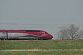 Thalys op de HSL bij Zoetermeer