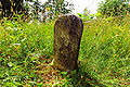 English: Boundary stone close to the Punschart pond Deutsch: Grenzstein nahe dem Punschartteich