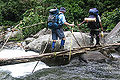 Bridge on the Kokoda Track