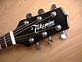 Paletta Takamine