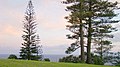 Endeavour Lodge, Norfolk Island