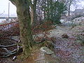 The 'park' outline where it diverges from the hedge bordering Fergushill Road