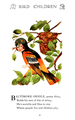 Icterus galbula (aka: Baltimore Oriole) 19 in: Bird Children 1912