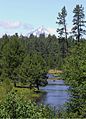 View of Mt Jefferson and the Metolius River from the viewing area above Metolius Springs near Camp Sherman, Oregon