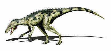 Herrerasaurus (Dinosauria)