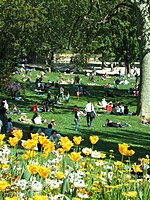 The sloping lawns, a popular gathering place on weekends