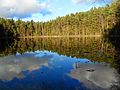 Väike Kalajärv, a lake in Kõrvemaa Nature Park