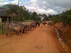 Xiangkhouang Province, Laos - panoramio (2).jpg