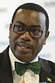 Banco Africano de Desarrollo Akinwumi Adesina, Presidente