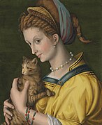 Retrato de dama con gato, de Bacchiacca, 1525.