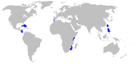 Range of bigeyed sixgill shark (in blue)