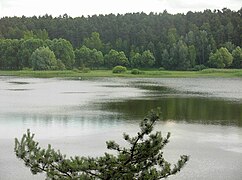 Jezioro Nowe w Puszczy Bydgoskiej