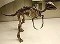 "Gadolosaurus"