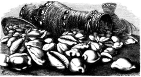 Ilustração do ano de 1893, mostrando conchas de M. moneta sendo usadas como moeda.